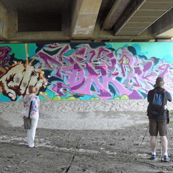 New Graffittis at Brudermühlen Bridge